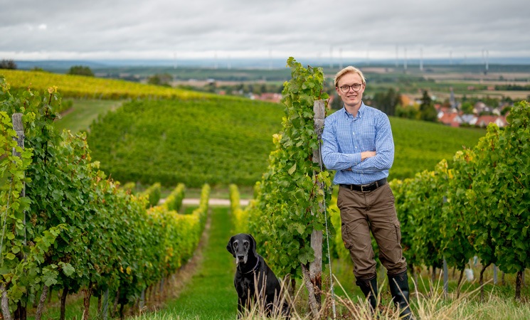 Im Weinberg: Begrünung und Biodiversität
